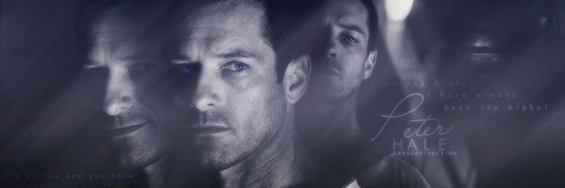 Peter Hale banner