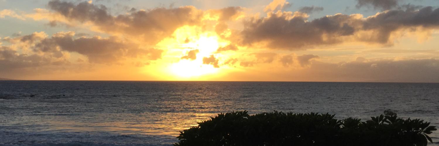 worldofgrace911's profile banner image