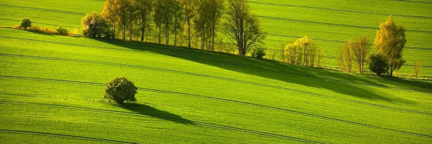 KSzymanowsk's profile banner image