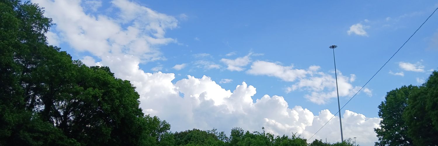 johnny blue skies, from now on banner