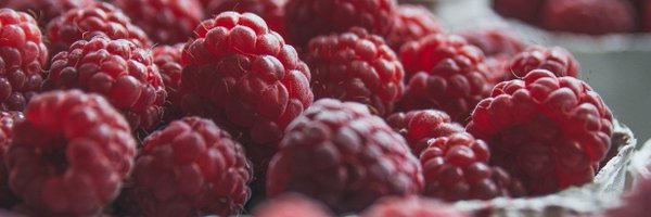 btwavacado Profile Banner