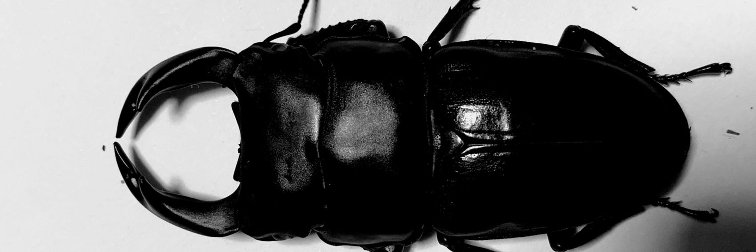 tetsuya0909's profile banner image
