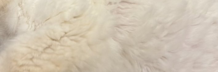 peachday____'s profile banner image