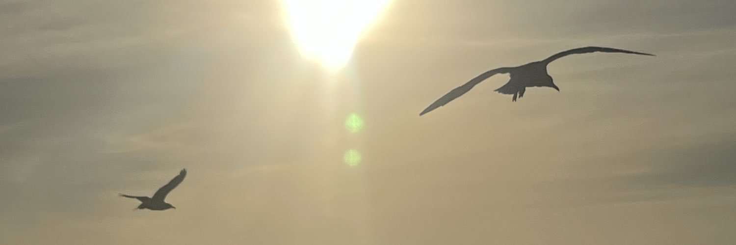 silvia_t9's profile banner image