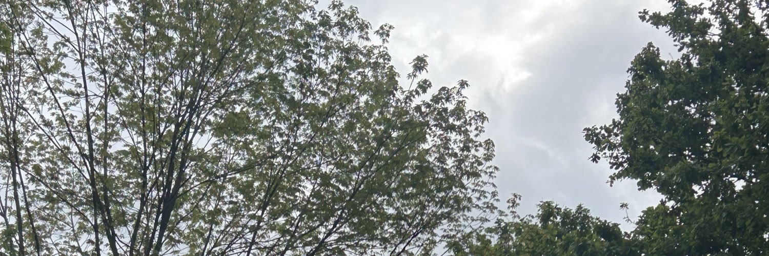 tugceceltinn's profile banner image
