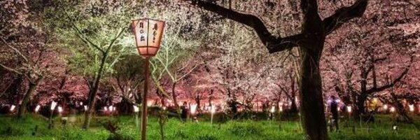 _Paisajes_ Profile Banner