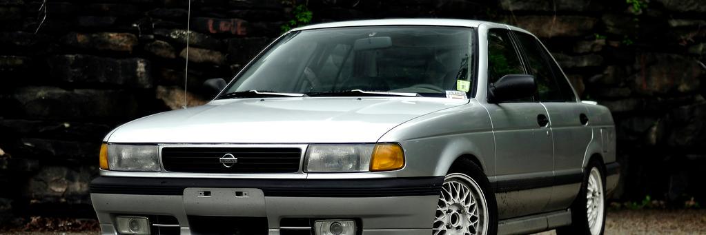 🌲🌲🌲elMiranda 🌲🌲🌲 banner