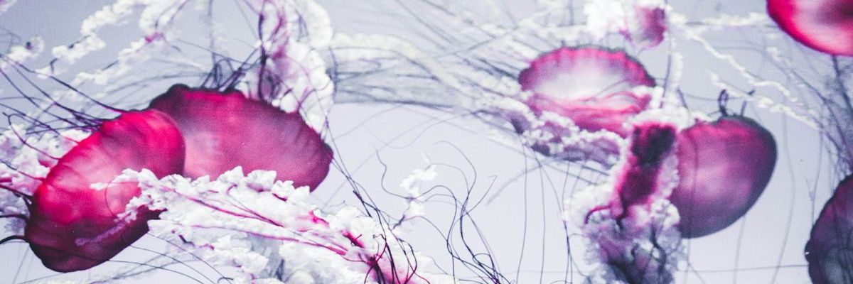 라엣씨 banner