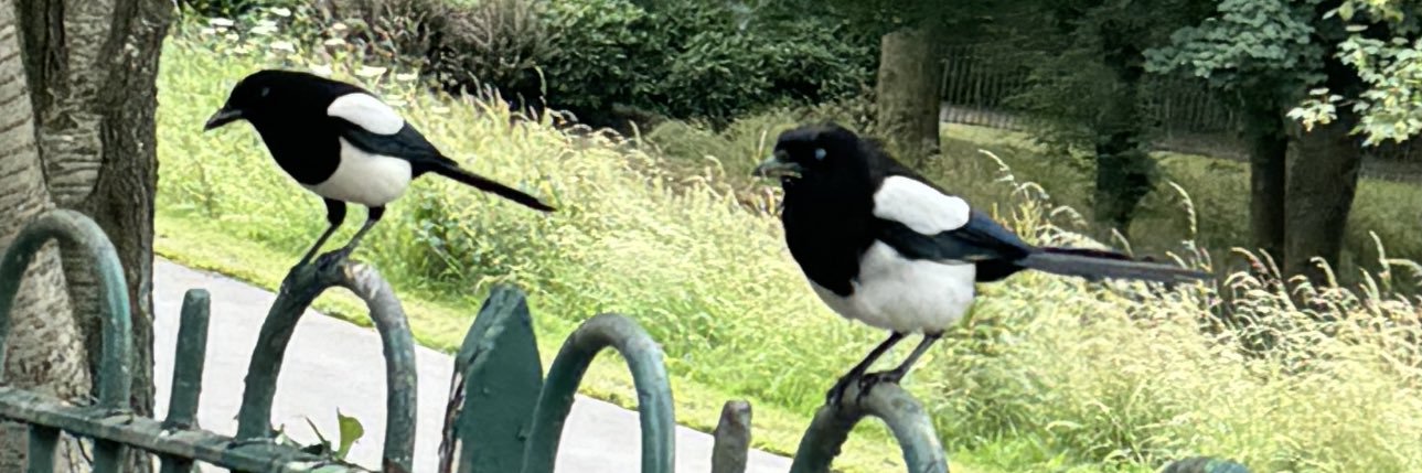 Charlie banner