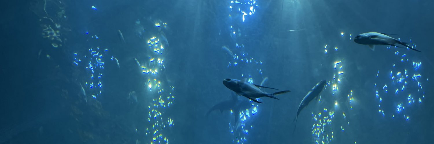 mhookrob's profile banner image