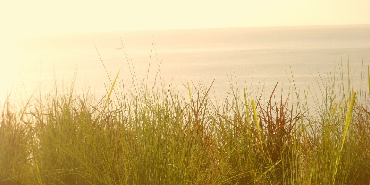 EraTrie's profile banner image