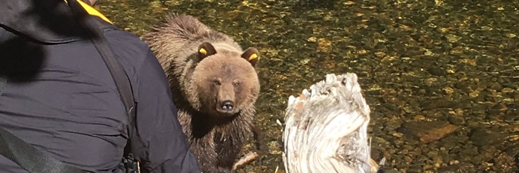 SeaWolfTours's profile banner image