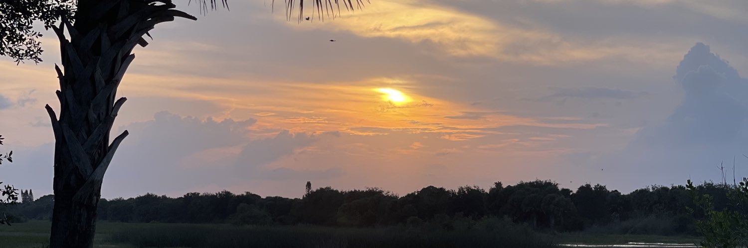 Needcovfefe 🌊🟦🎗️ banner