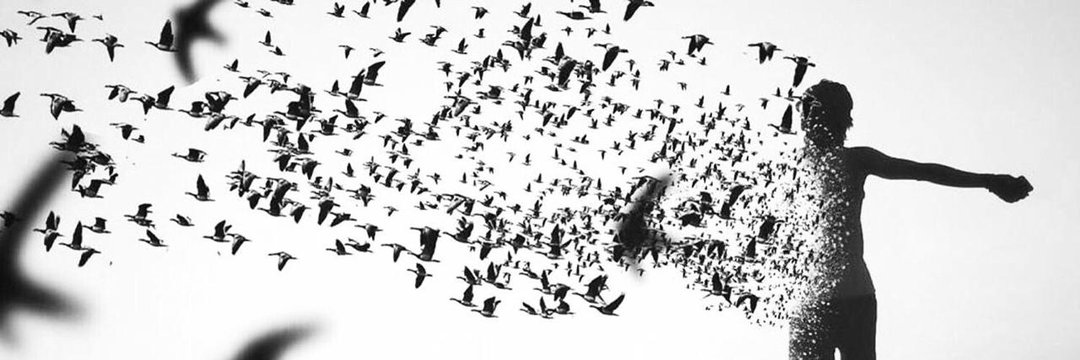 _raghad109's profile banner image