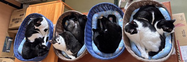 nyantamach222 Profile Banner