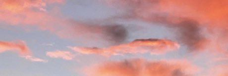 abigailsong's profile banner image
