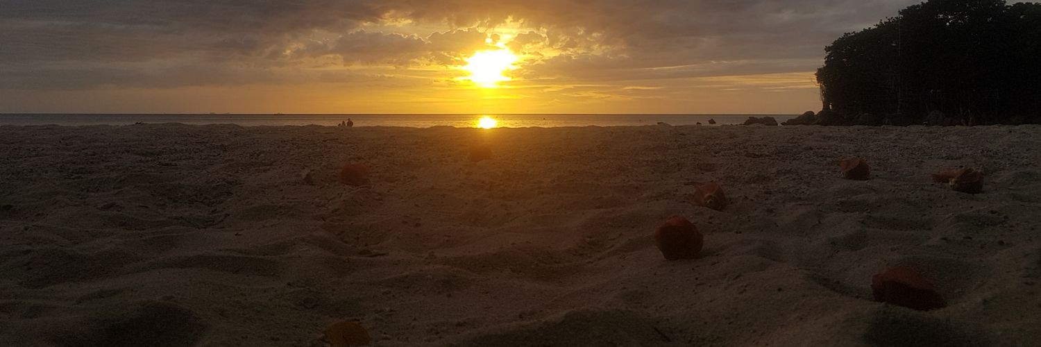roqueirolfelix's profile banner image