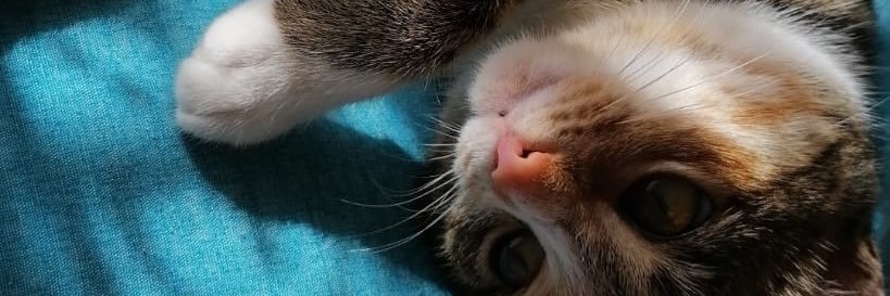 nuurrcc's profile banner image
