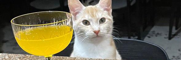 Name cannot be blank banner