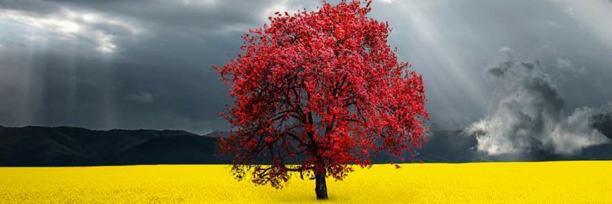 storm_arcang's profile banner image