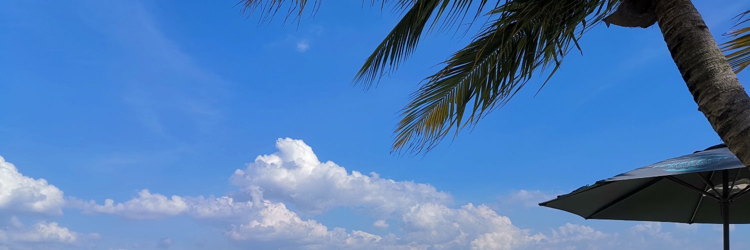li_banana's profile banner image