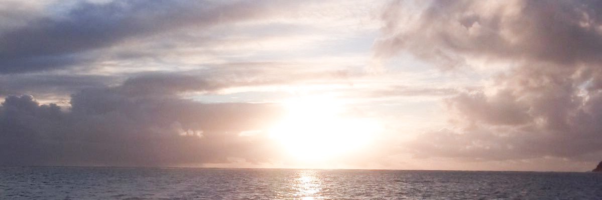 flyingfalconkun's profile banner image