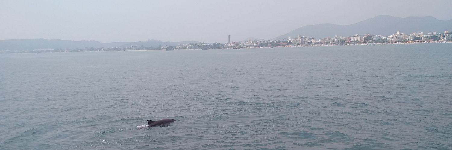 TutiLawyerr's profile banner image