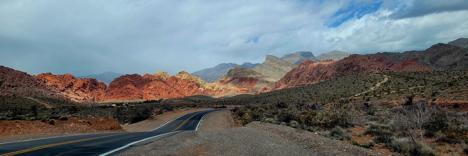 Desert Pine ♦️ Profile Banner