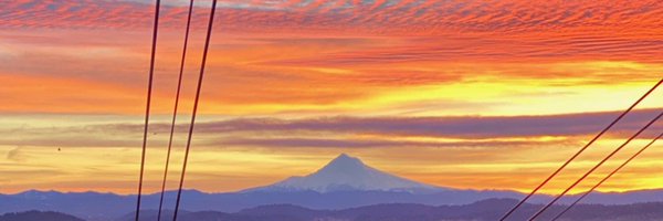 Ryan_Schenning Profile Banner