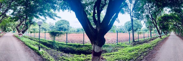 ms_chirps Profile Banner