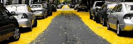 R.Perfil banner