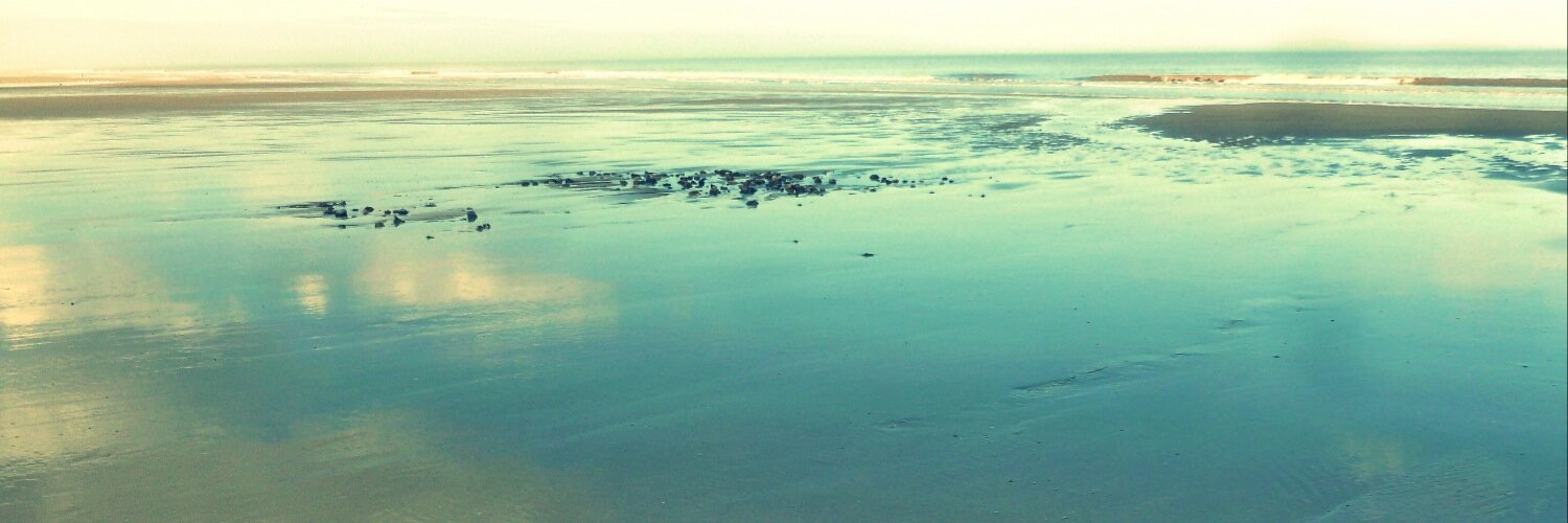 NorfolkboyAndy's profile banner image