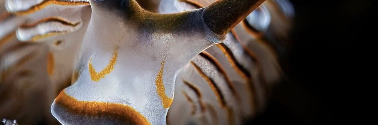 thejasonmarsh's profile banner image