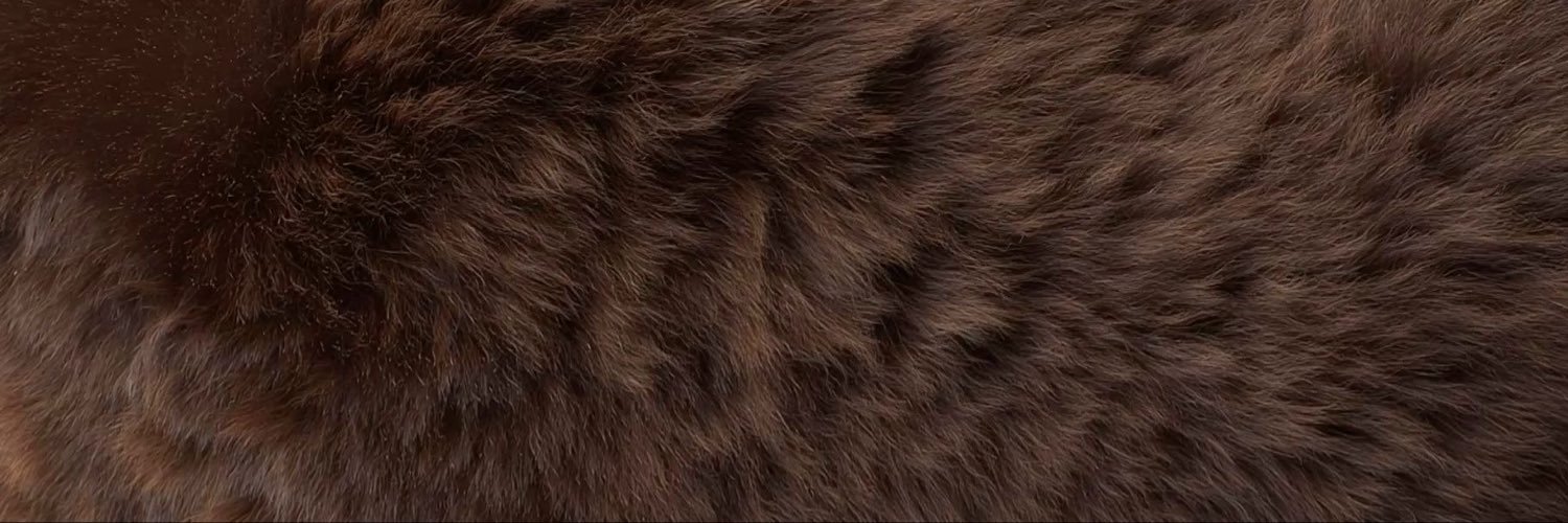 MichelleStuck's profile banner image