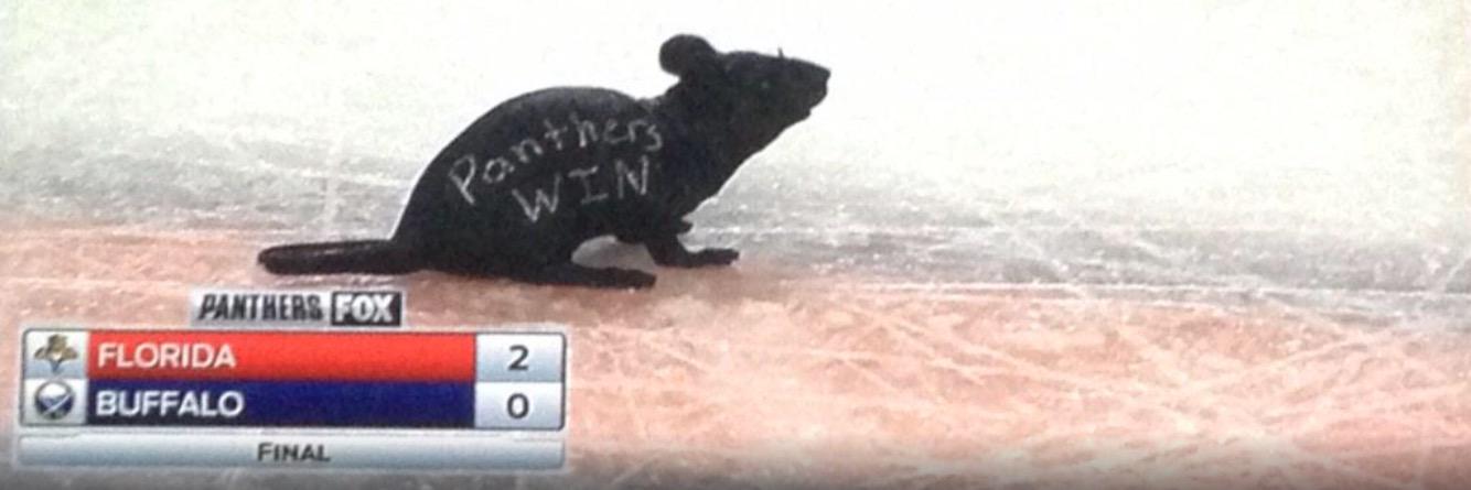 Ewener's profile banner image