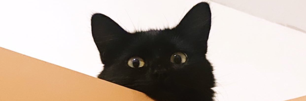 __MariaC's profile banner image