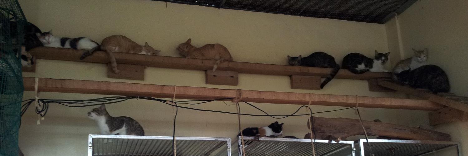 bamobeni 貝妮 banner