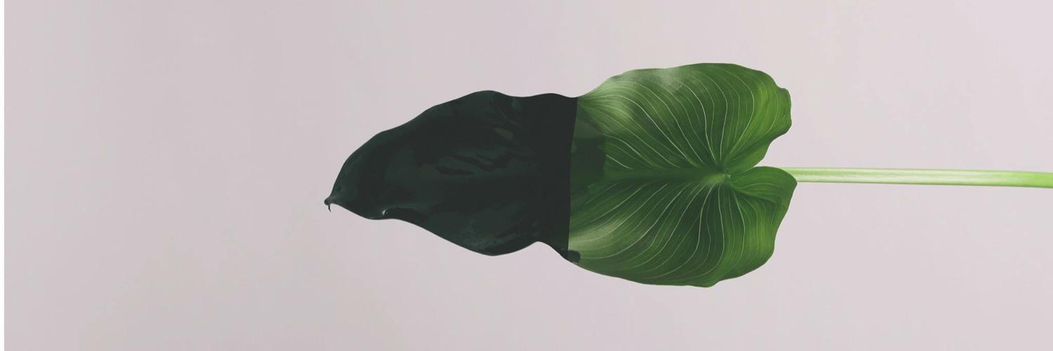 Pol_Gim's profile banner image