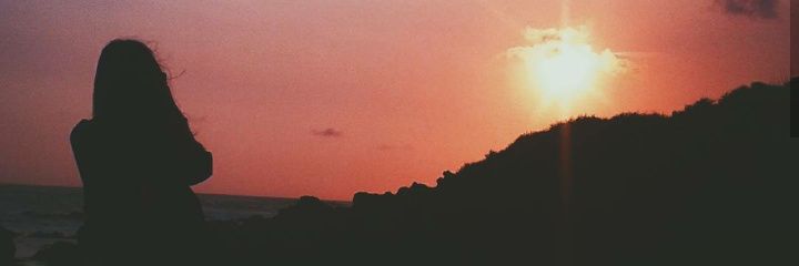 🦖 banner