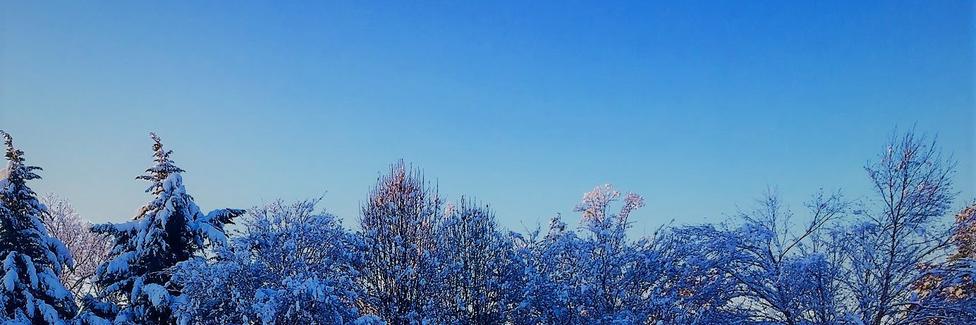 FirstinWeather - Rohan Shroff banner