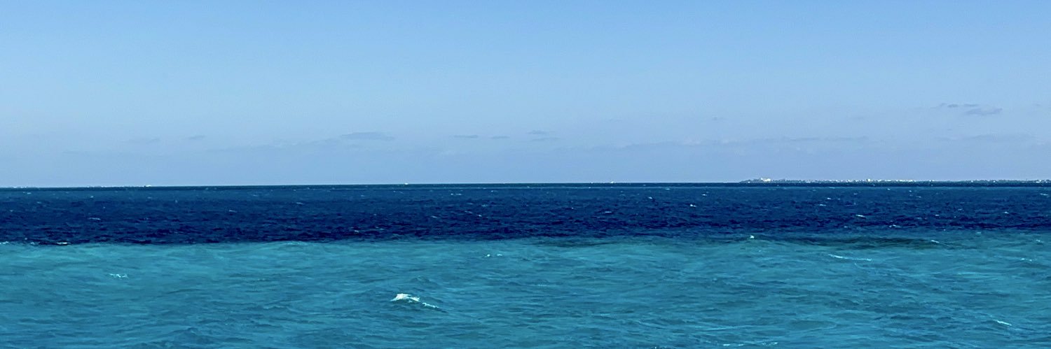 camilaS_P's profile banner image