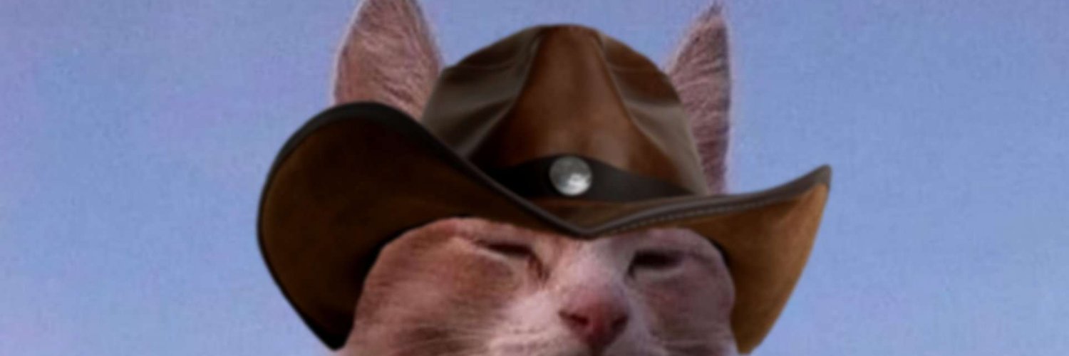 Nammers Alt 🐯's banner