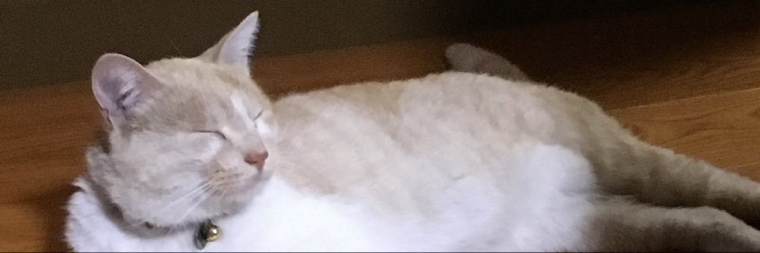Storm_luckyman's profile banner image
