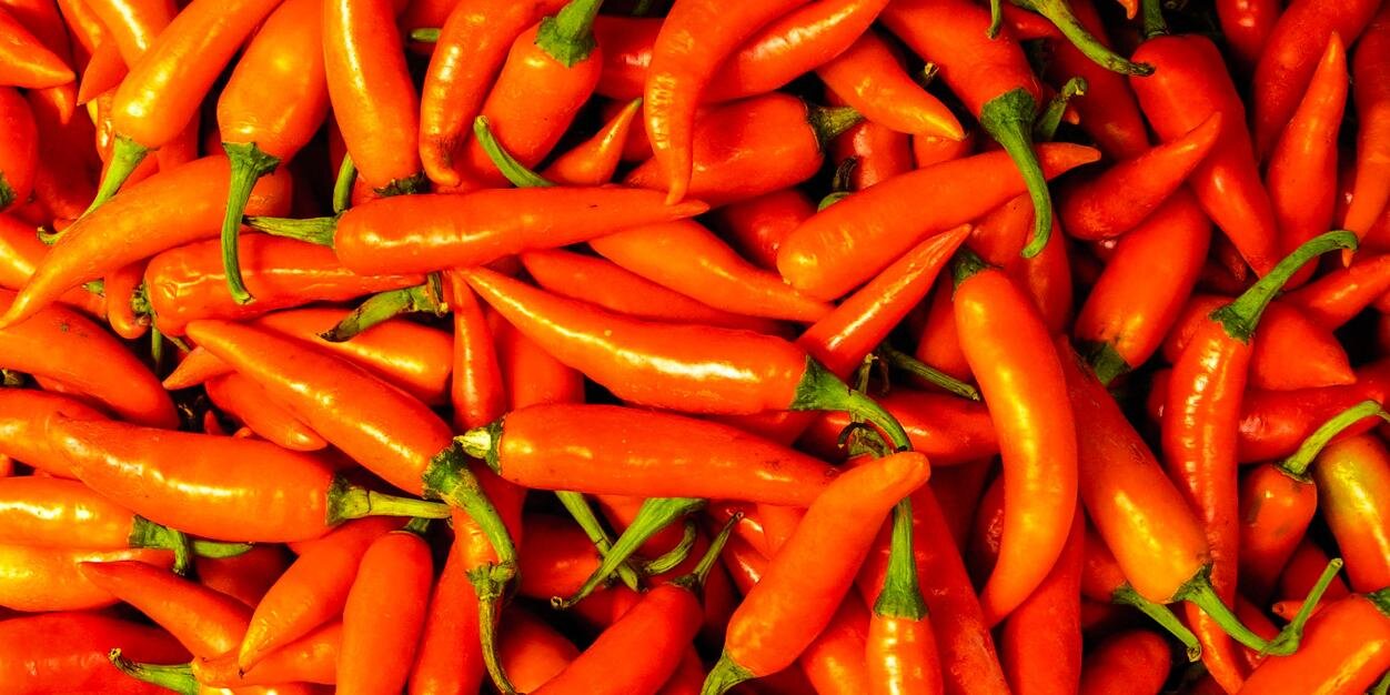 Michal Táborský banner