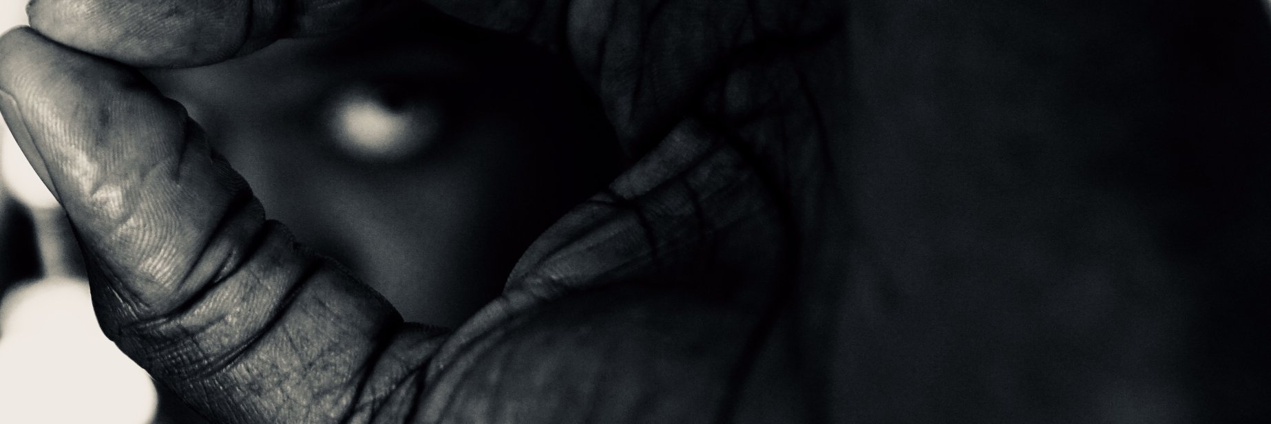 palanium's profile banner image