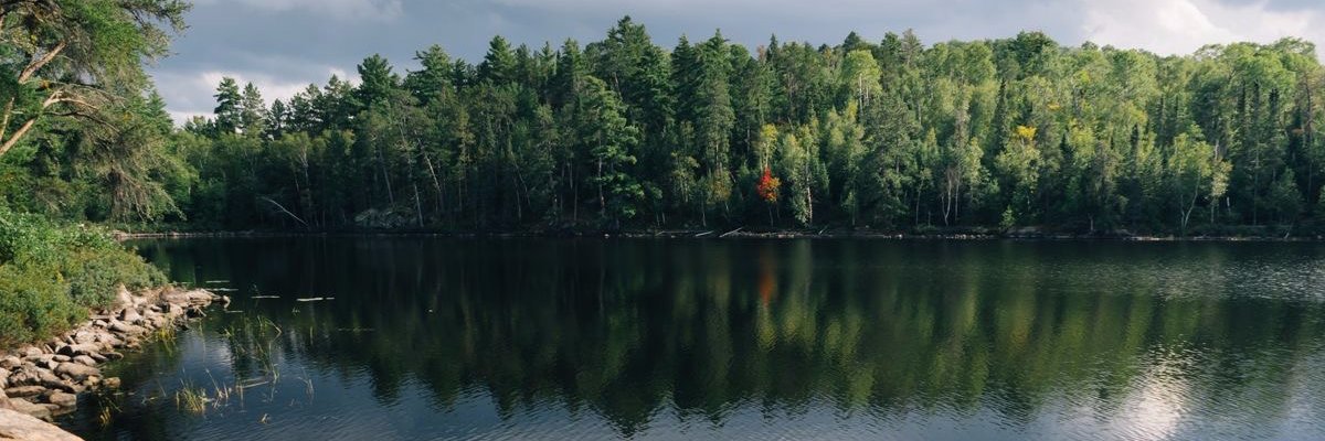 zuzek13's profile banner image
