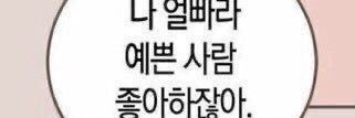 도치 banner