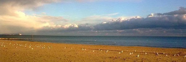 sz_chase Profile Banner