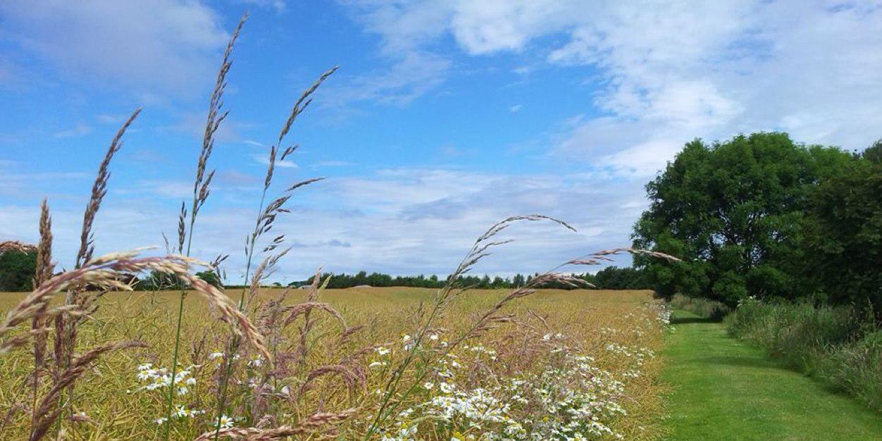 Morton of Pitmilly banner