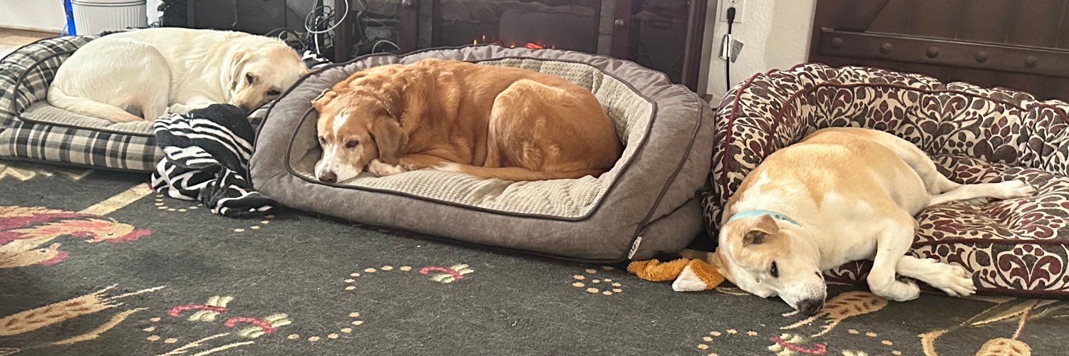 Tom Diederich 🇺🇸 🇯🇵 🐾 banner